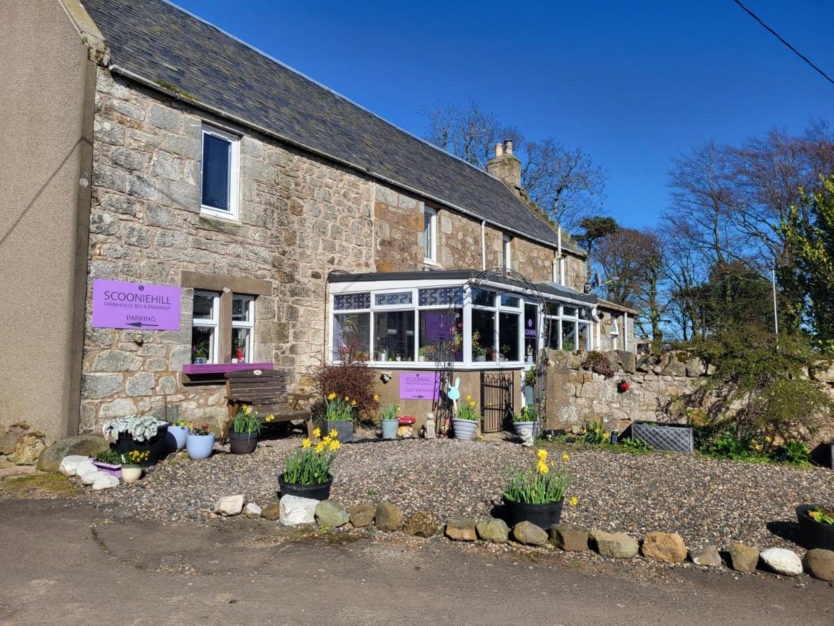 סנט אנדרוס Scooniehill Farm House B&B מראה חיצוני תמונה
