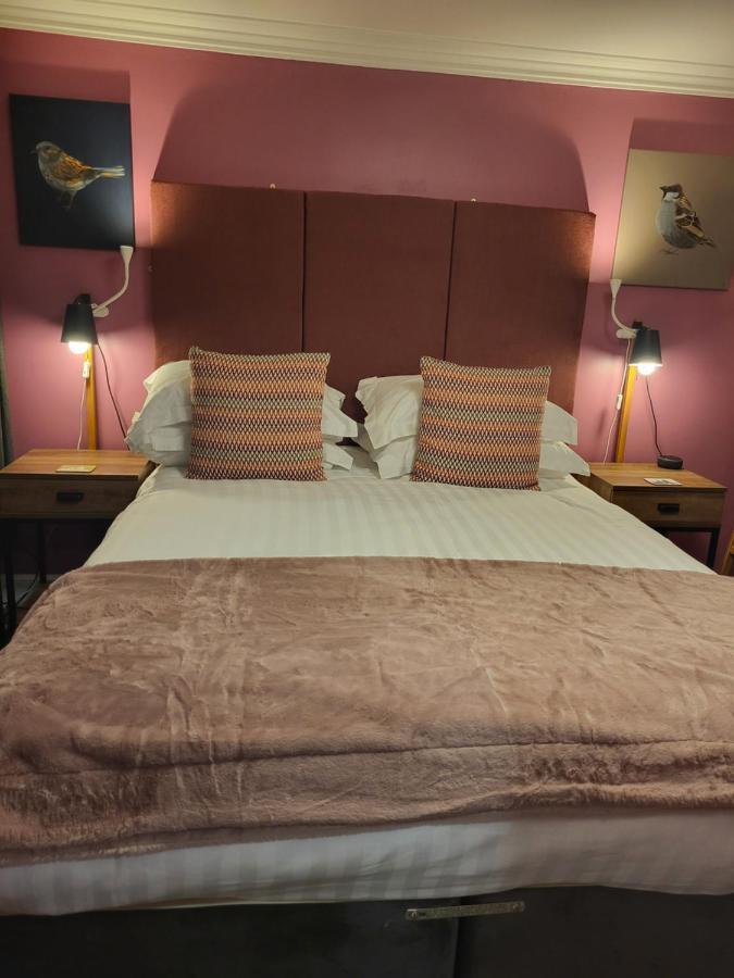 סנט אנדרוס Scooniehill Farm House B&B מראה חיצוני תמונה