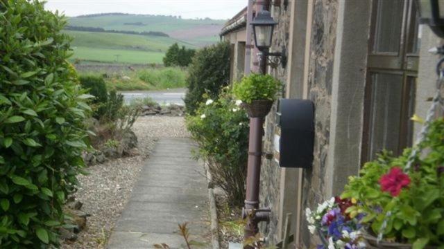 סנט אנדרוס Scooniehill Farm House B&B מראה חיצוני תמונה