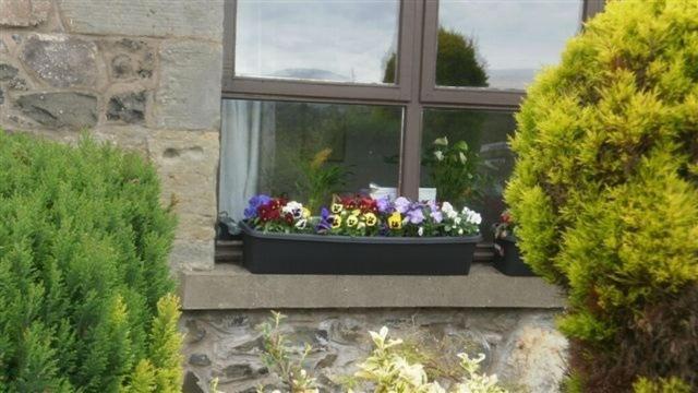 סנט אנדרוס Scooniehill Farm House B&B מראה חיצוני תמונה