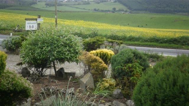 סנט אנדרוס Scooniehill Farm House B&B חדר תמונה
