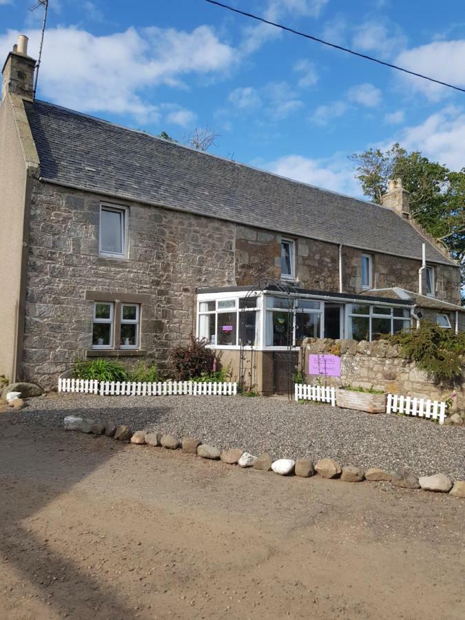 סנט אנדרוס Scooniehill Farm House B&B מראה חיצוני תמונה
